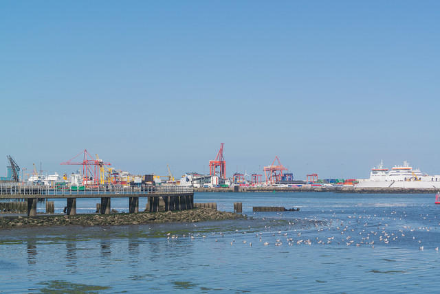 DSC 1450
