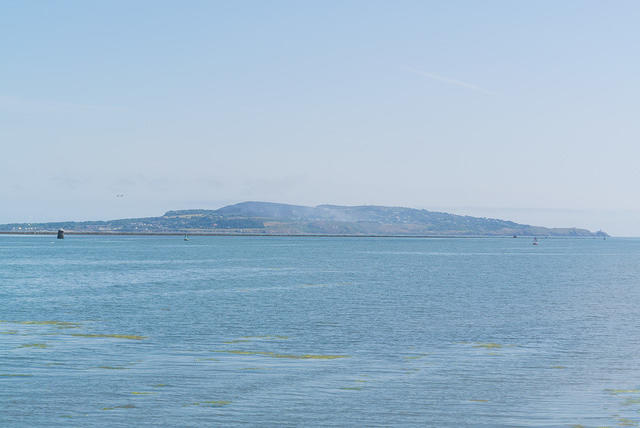 DSC 1454
