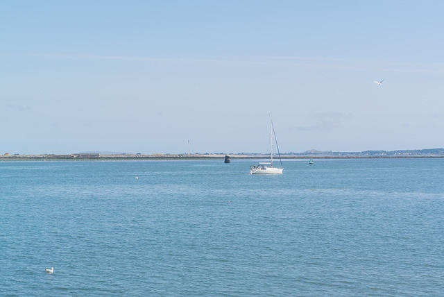 DSC 1464