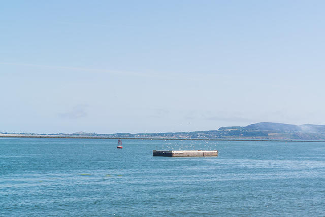 DSC 1470