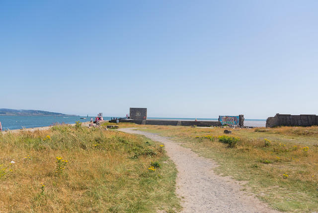 DSC 1557