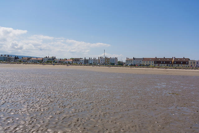 DSC 1584
