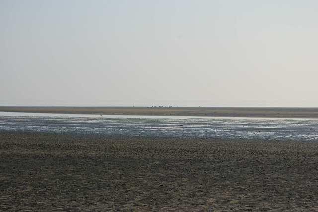 DSC 0924