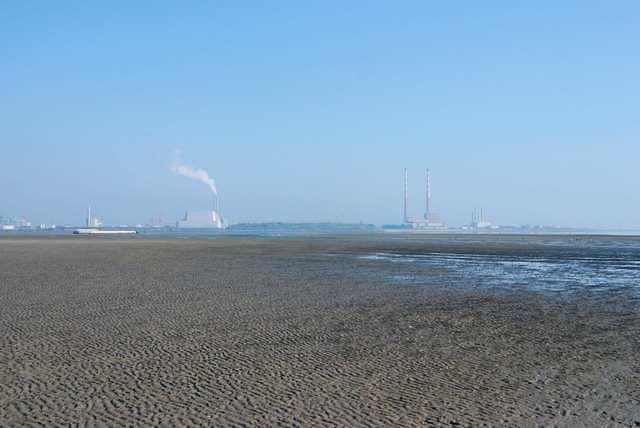 DSC 0941