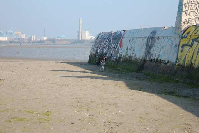 DSC 0993