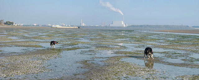 Untitled Panorama3
