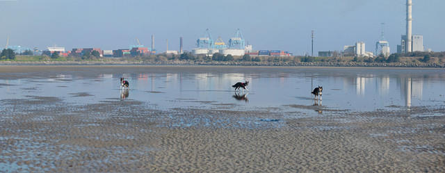 Untitled Panorama4