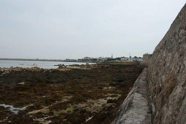 DSC 2965