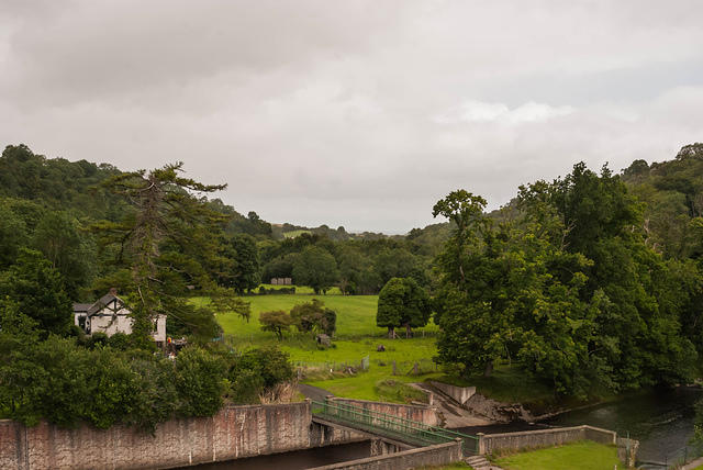 DSC 2754