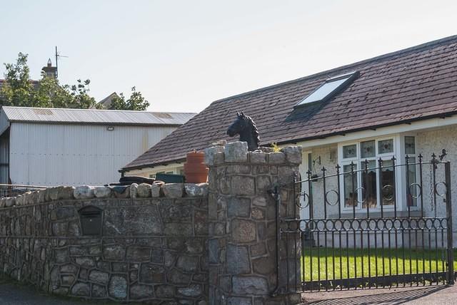 DSC 4401