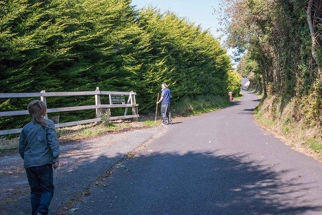 DSC 4455