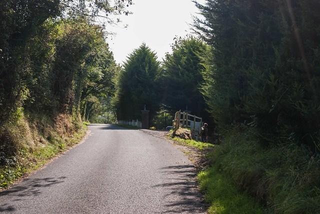 DSC 4467