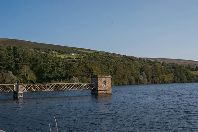 DSC 4574