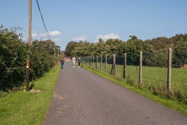 DSC 4624