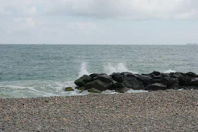 DSC 1959