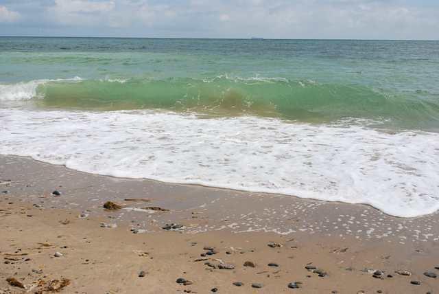 DSC 1972
