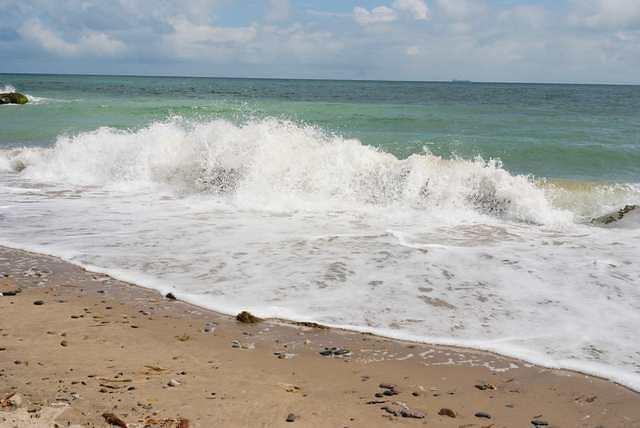 DSC 1973