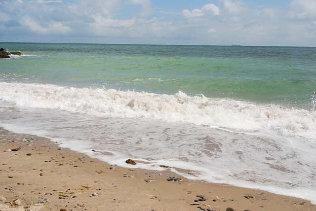 DSC 1974