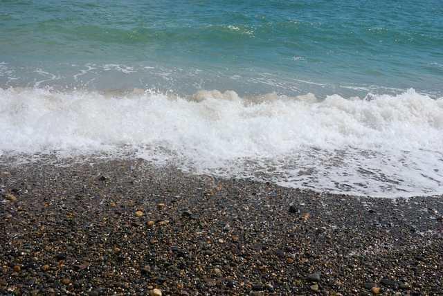 DSC 2009