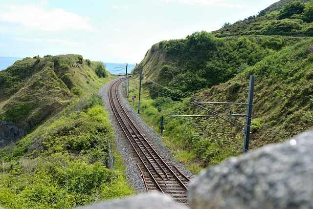 DSC 2044