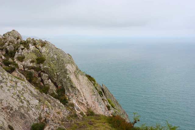 DSC 2053