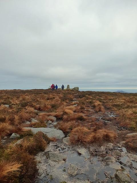 IMG-20240111-WA0008