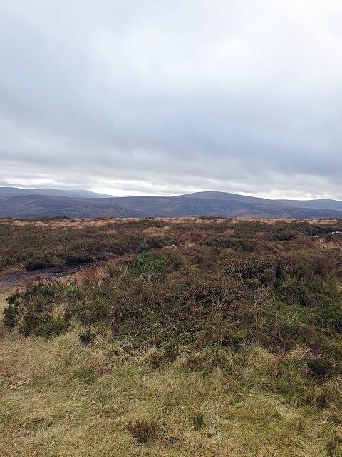 IMG-20240111-WA0013