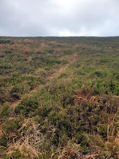 IMG-20240111-WA0020