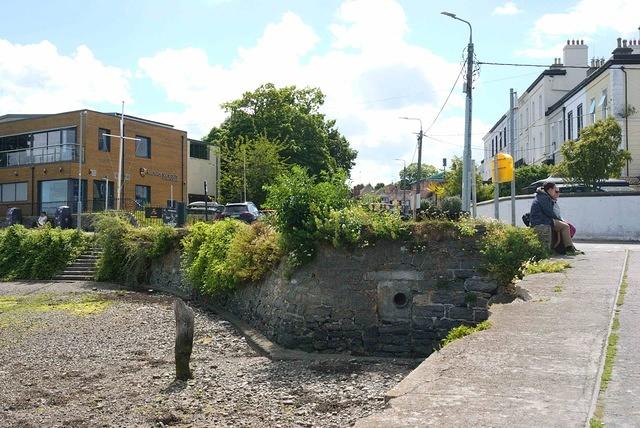 DSC 6011