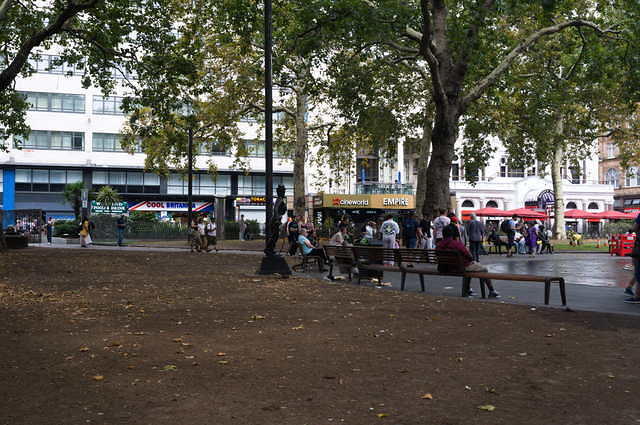 DSC 0502