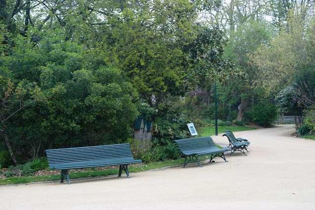 DSC 5265