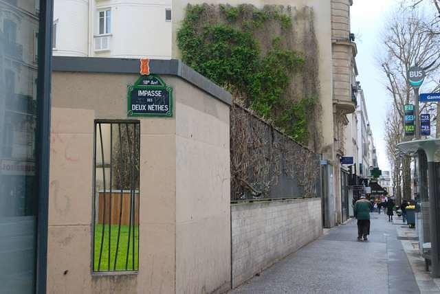 DSC 4935