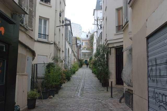 DSC 4971