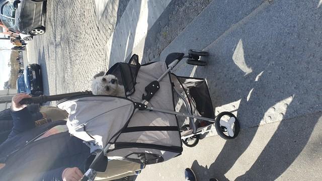 IMG-20240324-WA0009
