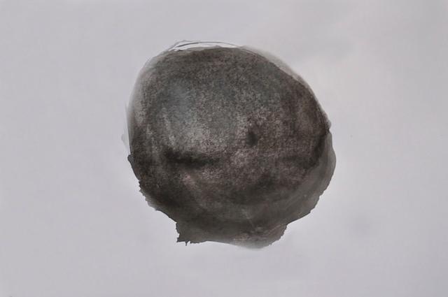  DSC2225