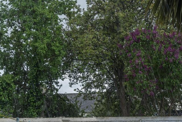 DSC 0078