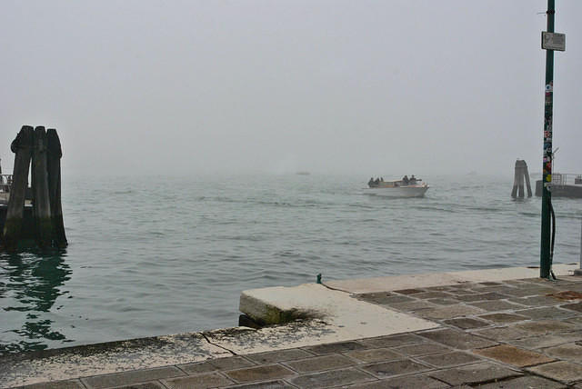 DSC 4519