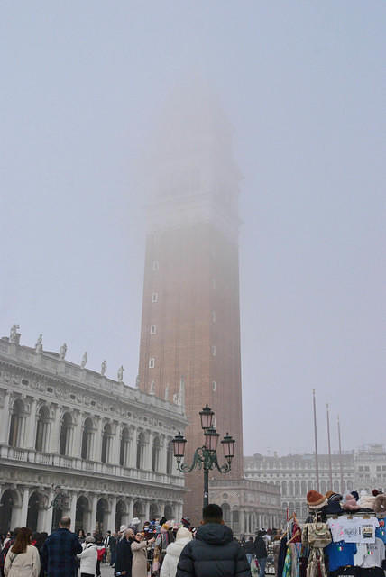 DSC 4541