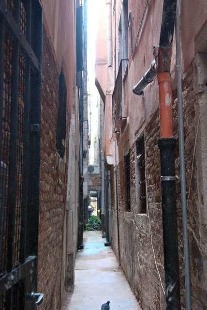DSC 4606