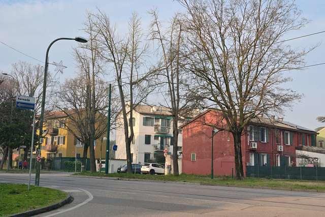 DSC 4756