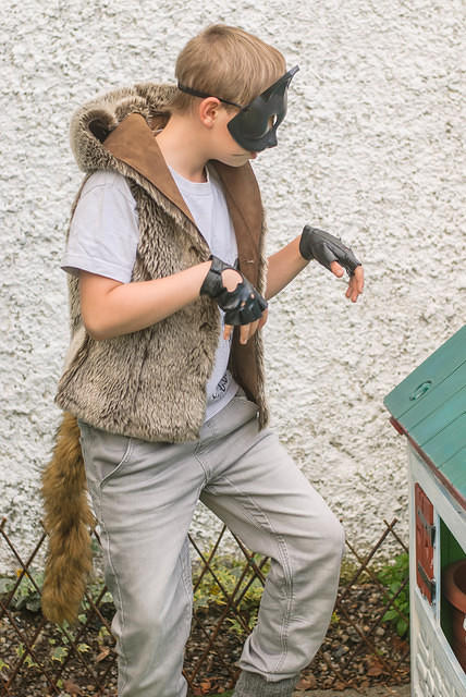 DSC 6238