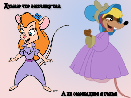 mouse-rat