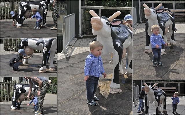 zoo07142