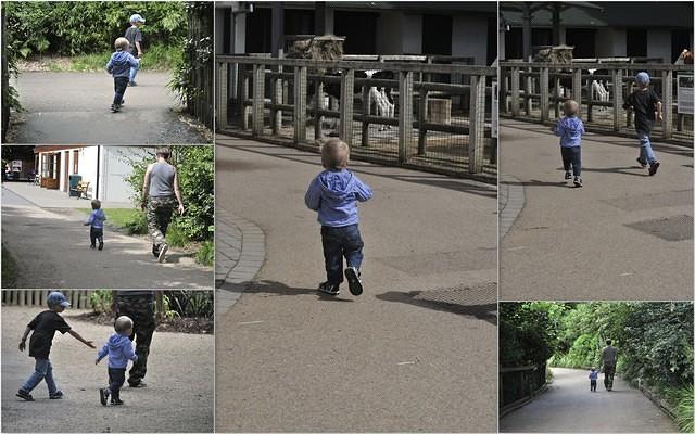 zoo07143