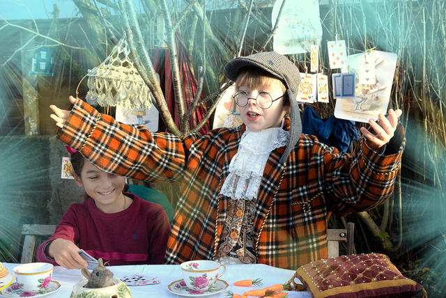 DSC 0173-1-1