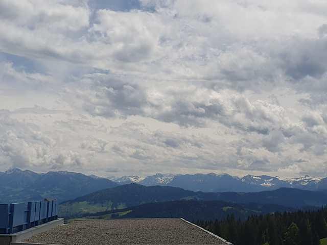 IMG-20240516-WA0031
