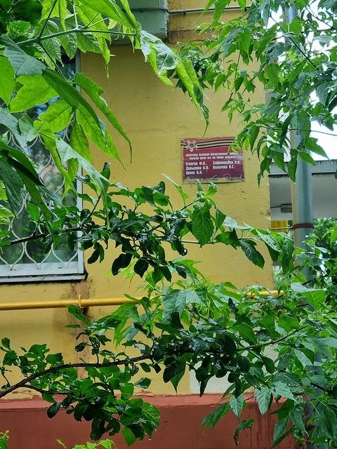 20240612 164258 - Copy