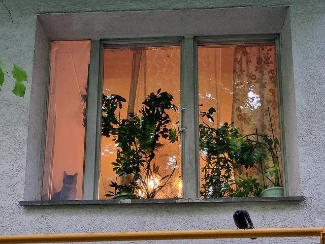 20240617 173634 - Copy