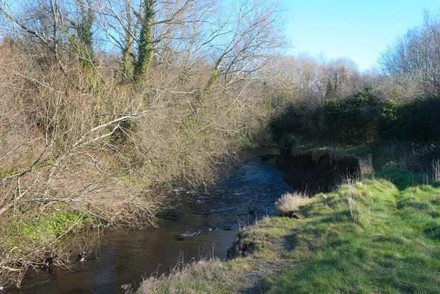 DSC 0828-1