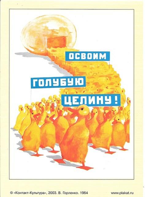 Image (61)